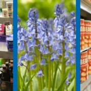 Food and beverage, climate change, bluebells