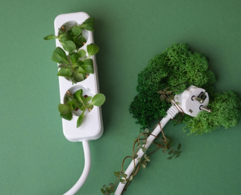 Sustainable Office: Image showing plug sockets with plants.