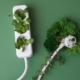 Sustainable Office: Image showing plug sockets with plants.