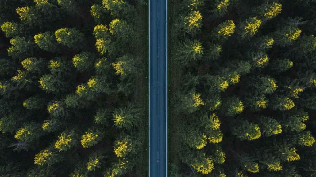 Major road surrounded by trees