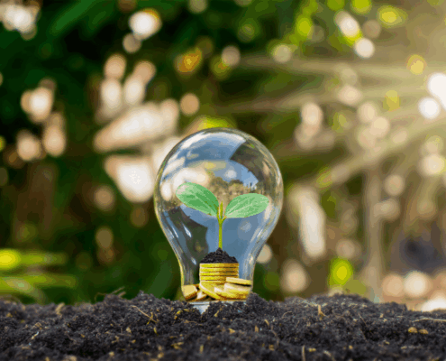 Energy Savings, lightbulb with coins representing money