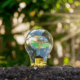 Energy Savings, lightbulb with coins representing money