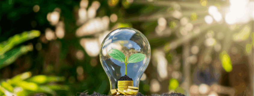 Energy Savings, lightbulb with coins representing money